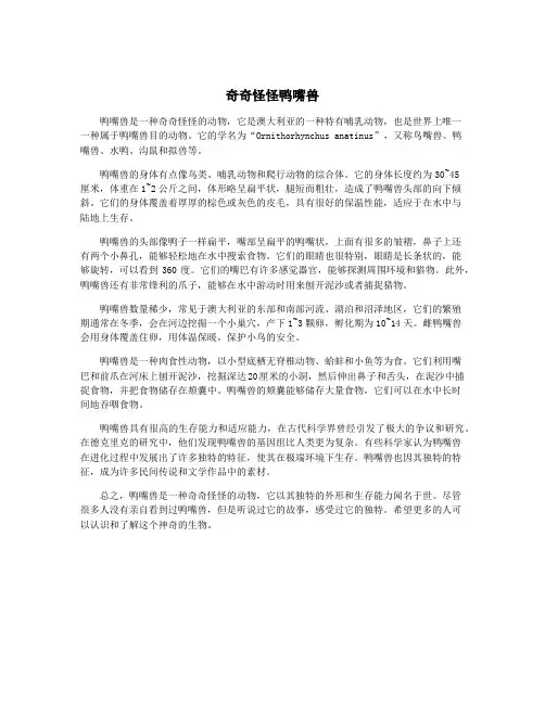 奇奇怪怪鸭嘴兽