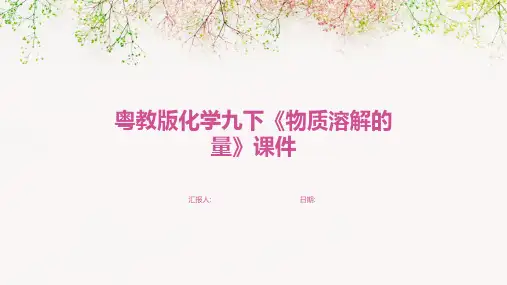 粤教版化学九下《物质溶解的量》课件