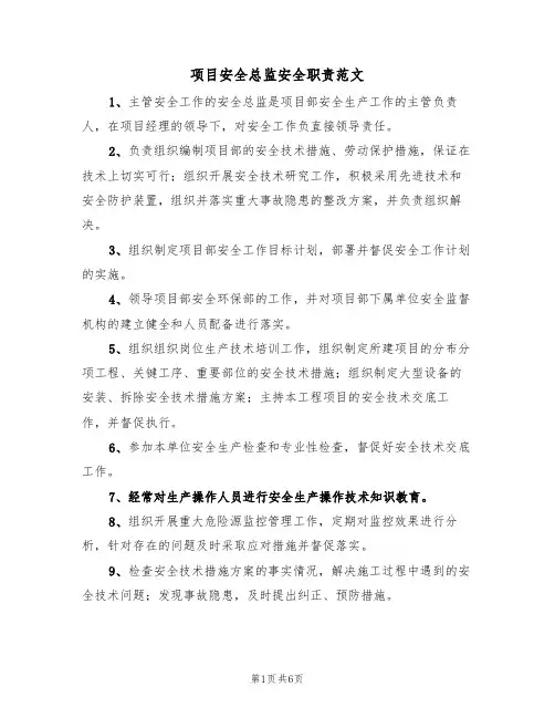 项目安全总监安全职责范文(3篇)