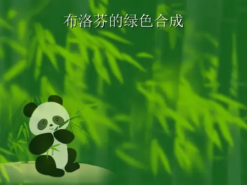 布洛芬的绿色合成讲解