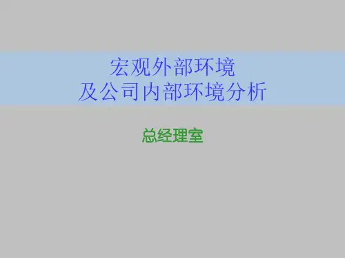 宏观外部环境及环境分析