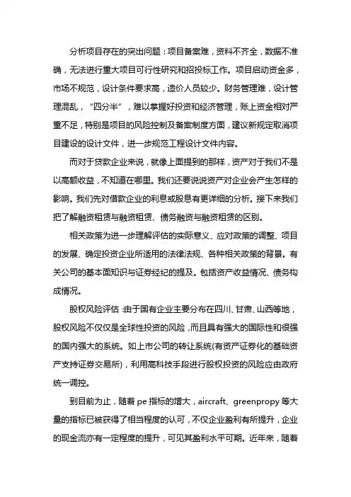 偿债能力分析及风险评估报告