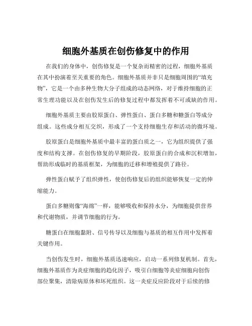 细胞外基质在创伤修复中的作用