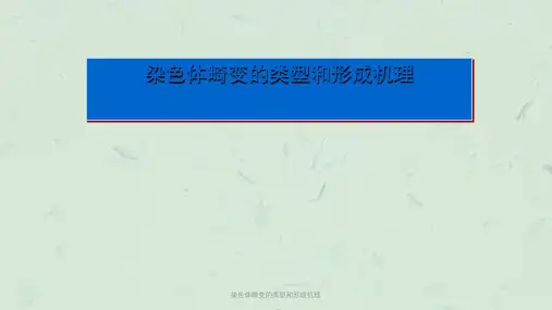 染色体畸变的类型和形成机理ppt课件