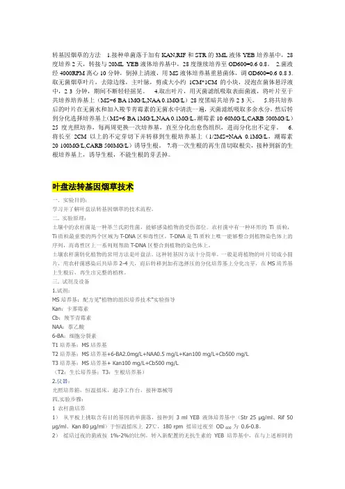 烟草转基因及gus染色的方法