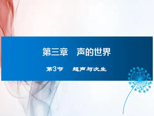 沪科版八年级物理第3节 超声与次声课件
