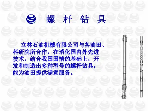 螺杆钻具(立林)