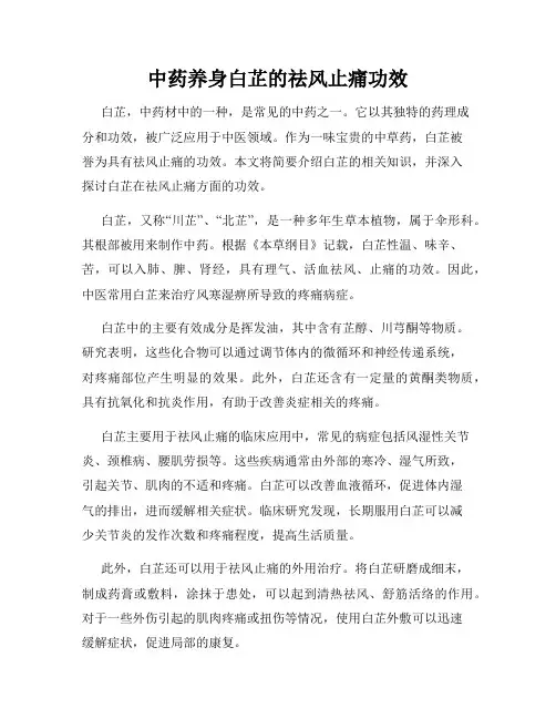 中药养身白芷的祛风止痛功效