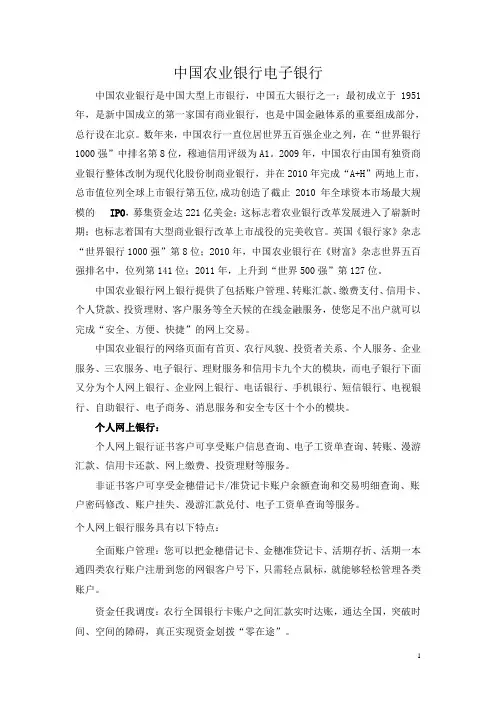 中国农业银行电子银行业务概述