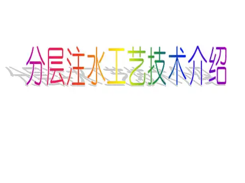 分层注水技术介绍