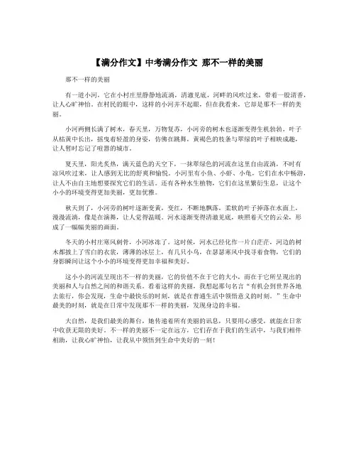 【满分作文】中考满分作文 那不一样的美丽