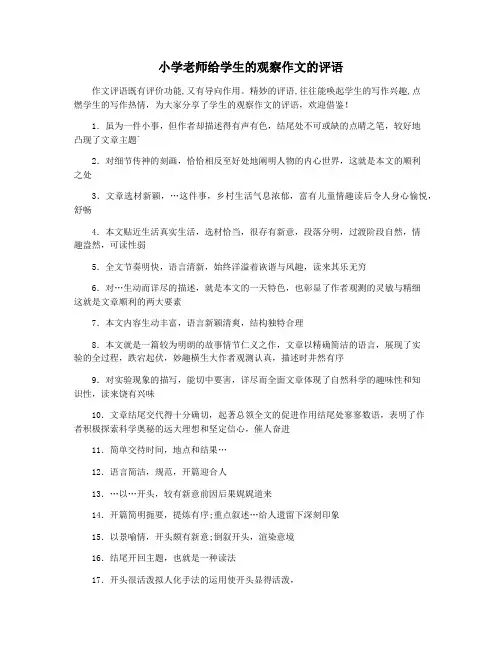 小学老师给学生的观察作文的评语