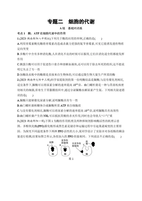 2024年高中生物二轮复习试题(新教材) 专题2 细胞的代谢(含答案)