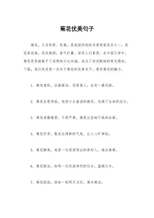 菊花优美句子
