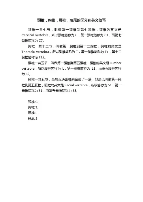 颈椎，胸椎，腰椎，骶尾的区分和英文简写