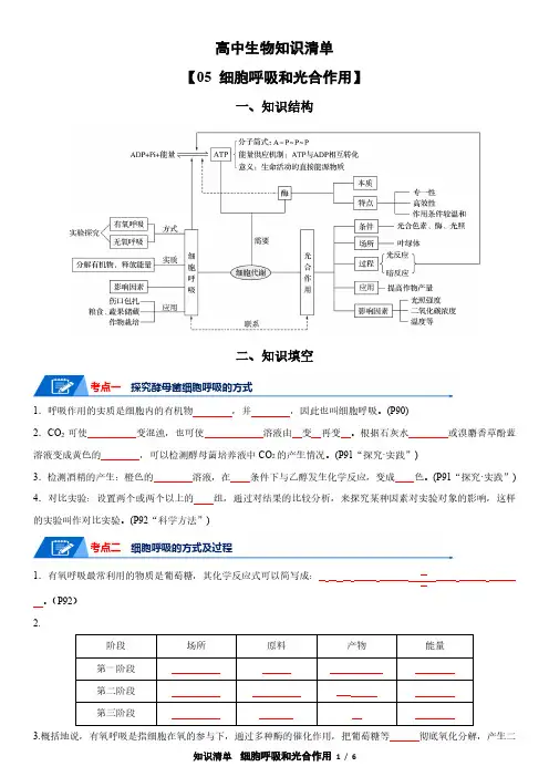 高中生物知识清单(新课标人教版)05   呼吸和光合作用(新课标新高考)(含答案)