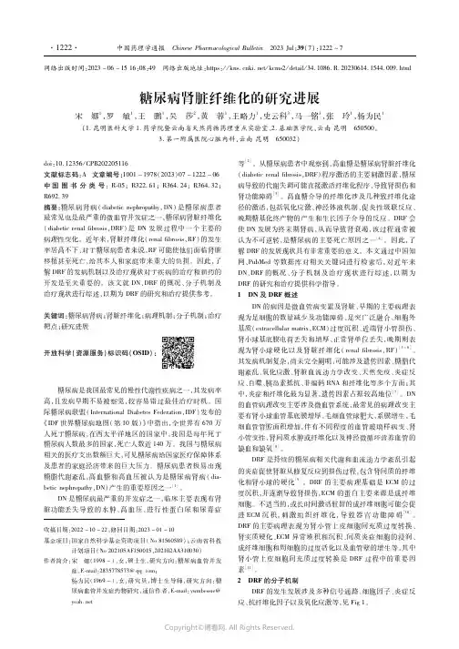 糖尿病肾脏纤维化的研究进展