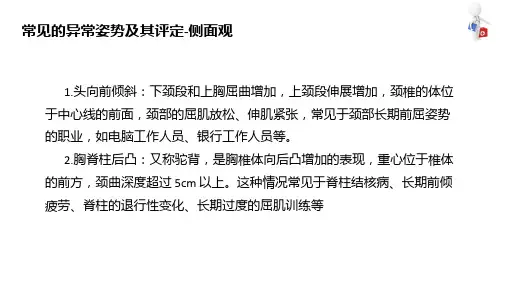 人体形态和反射评定技术 人体形态评定技术 形态