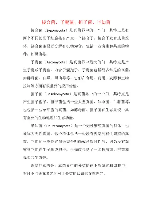 接合菌、子囊菌、担子菌、半知菌