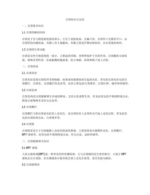 宫颈知识点总结
