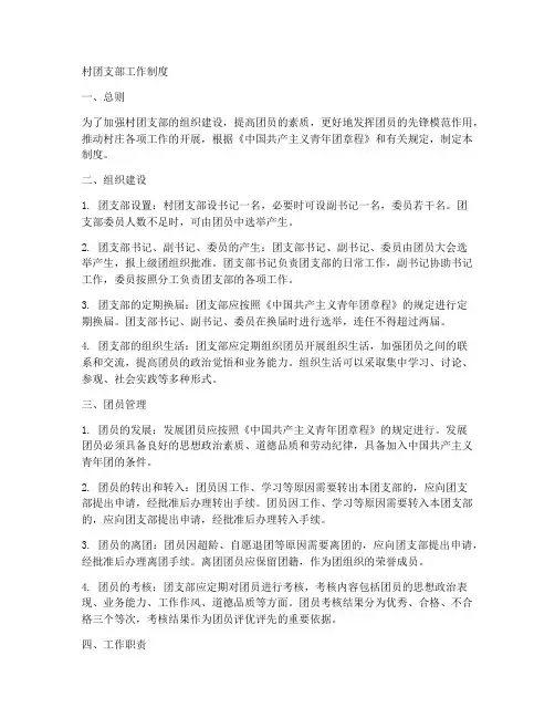 村团支部工作制度