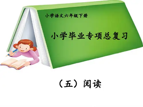 六年级语文阅读专题总复习PPT课件