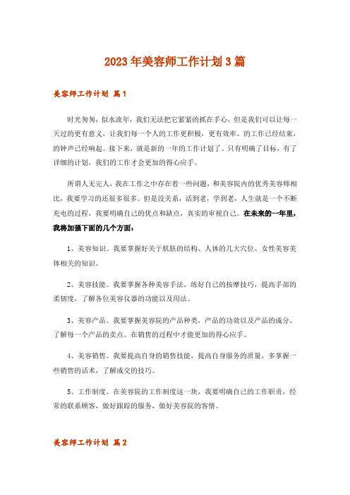2023年美容师工作计划3篇