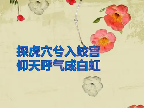 刺客列传(超好用)