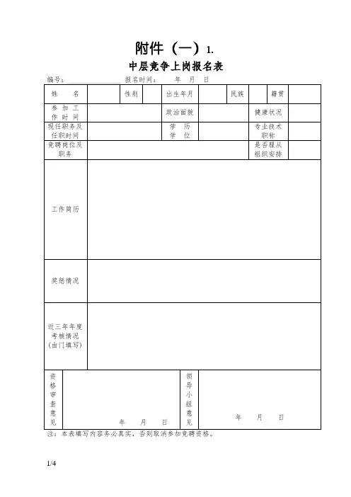 中层干部竞聘报名表(范本)