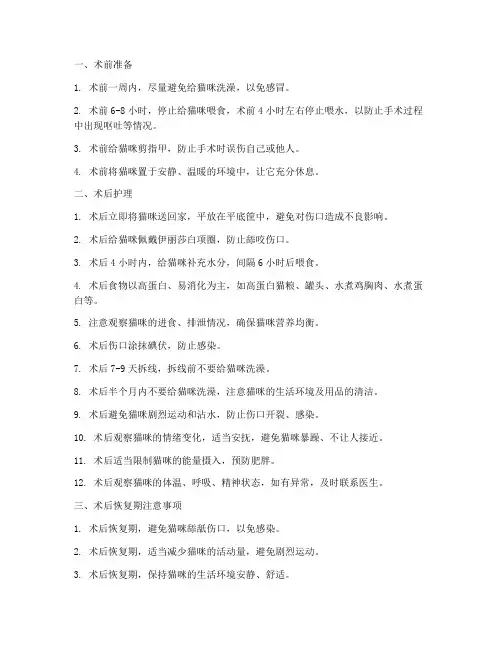 猫咪术后绝育护理措施