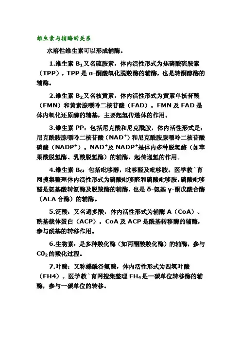 维生素与辅酶的关系