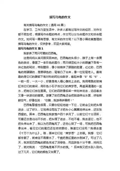 有关描写乌龟的作文（通用46篇）
