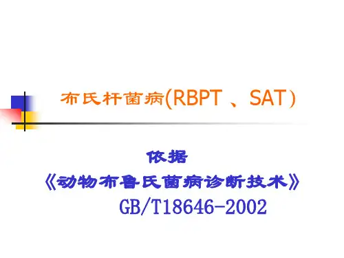 布病血清学诊断