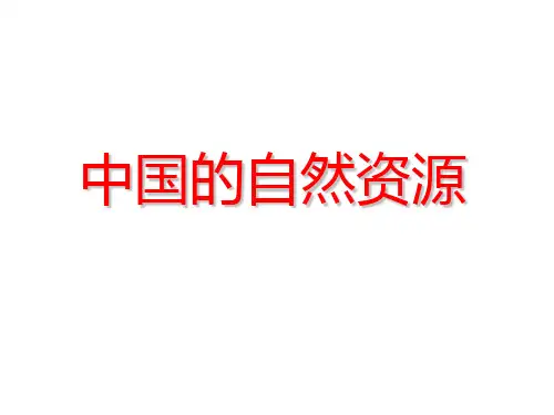 高二中国地理复习课件系列：中国的自然资源(共16张精美幻灯片)