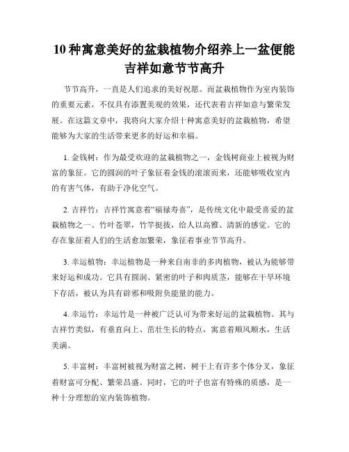 10种寓意美好的盆栽植物介绍养上一盆便能吉祥如意节节高升