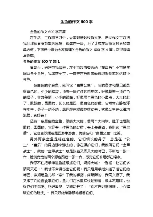 金鱼的作文600字四篇