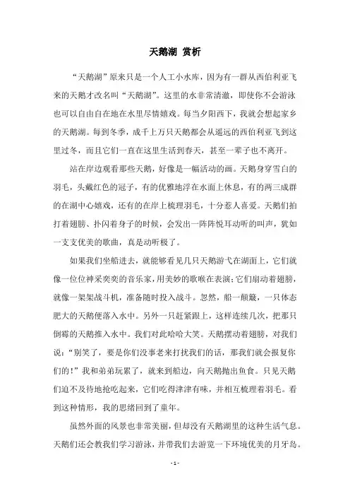 天鹅湖 赏析