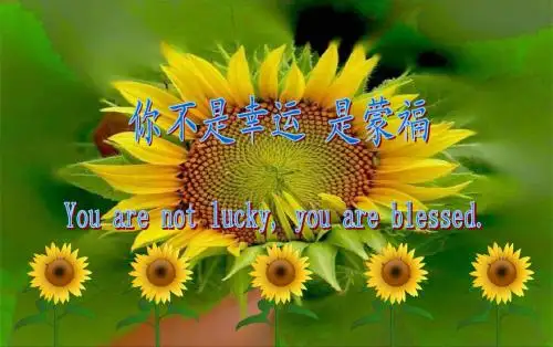 你不是幸运