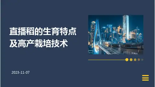 直播稻的生育特点及高产栽培技术
