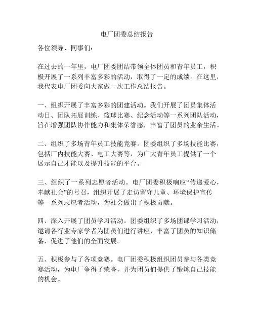 电厂团委总结报告