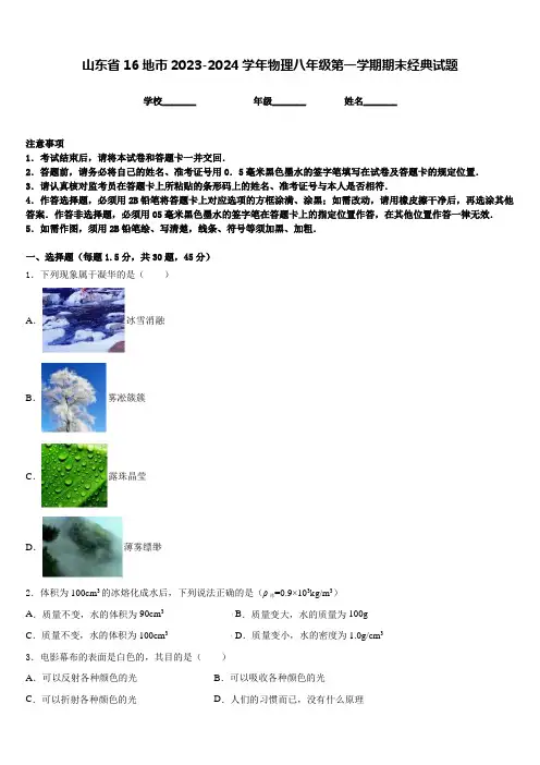 山东省16地市2023-2024学年物理八年级第一学期期末经典试题含答案