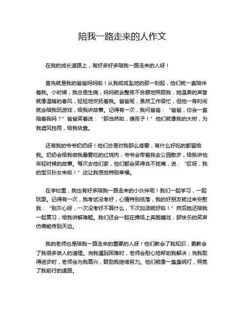 陪我一路走来的人作文