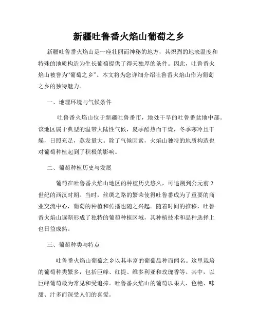 新疆吐鲁番火焰山葡萄之乡