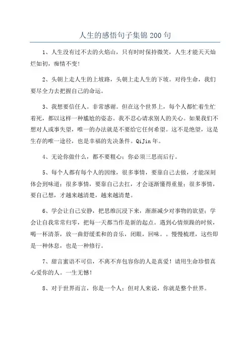 人生的感悟句子集锦200句