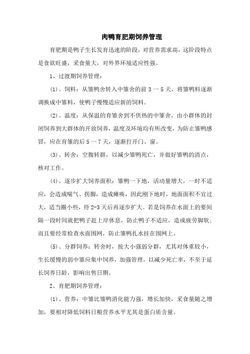 肉鸭育肥期饲养管理