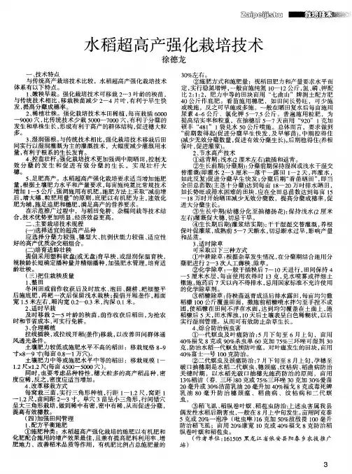 水稻超高产强化栽培技术