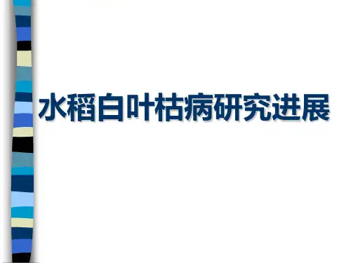 水稻白叶枯病研究进展