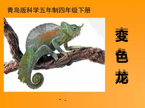 《变色龙》PPT