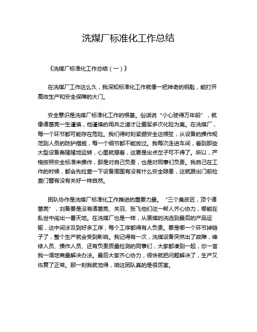 洗煤厂标准化工作总结