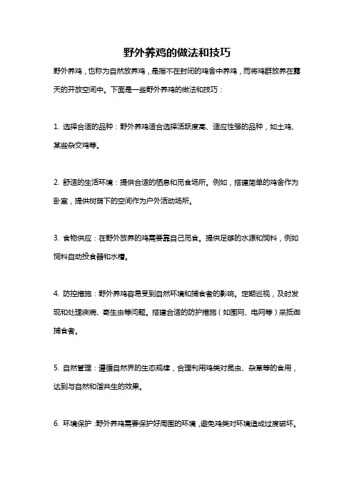野外养鸡的做法和技巧